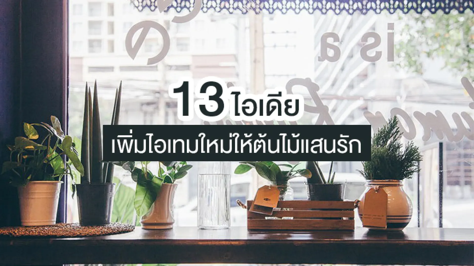  13 ไอเดียเพิ่มไอเทมใหม่ให้ต้นไม้แสนรัก | PD House